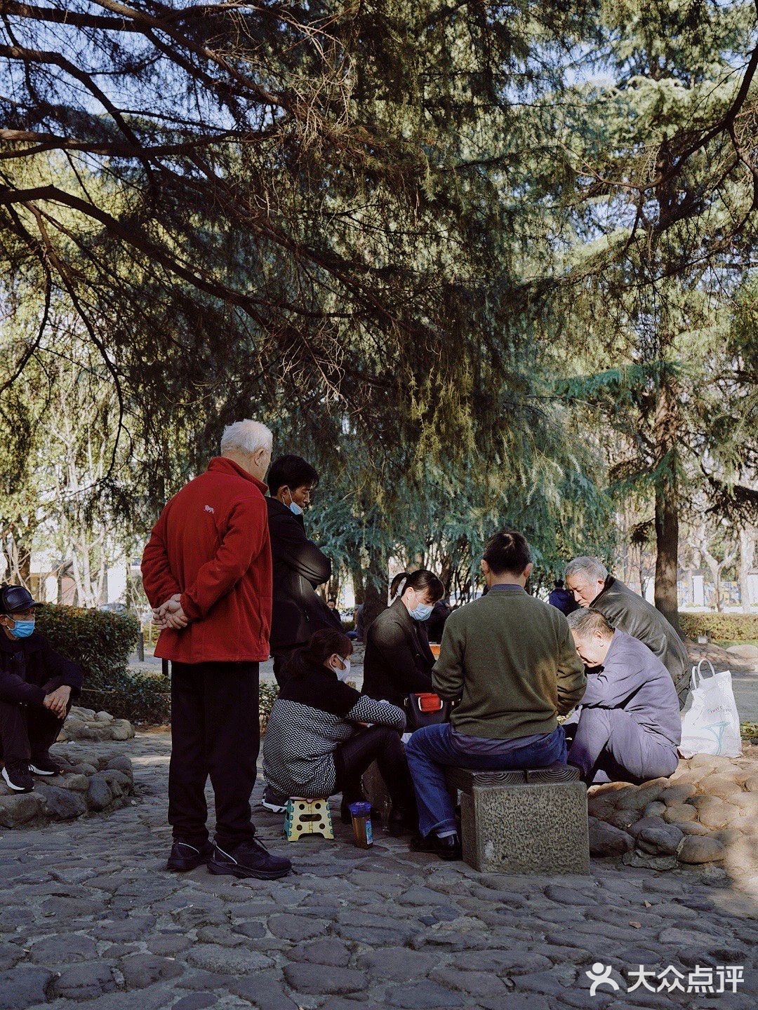 街头随拍｜华山绿地｜闹市区里的街心公园