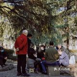 街头随拍｜华山绿地｜闹市区里的街心公园