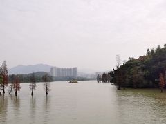 -星湖旅游景区七星岩