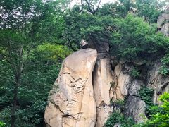 -北京鹫峰国家森林公园