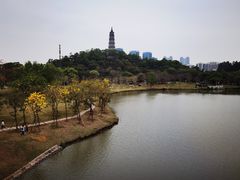 -顺峰山公园
