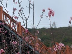 -小南山公园