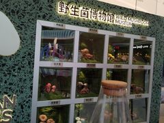 -芸山季·云南野生菌火锅(南翔印象城MEGA店)