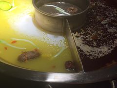 -九鼎轩脆毛肚火锅(商业街店)