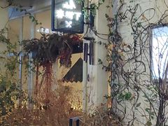 -春树下·树屋花房西餐厅(罍街AS1980店)