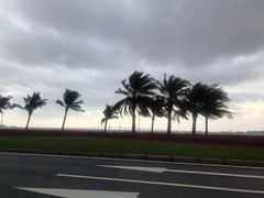 -澳门环岛游湾仔码头