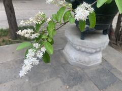 -大钟寺古钟博物馆
