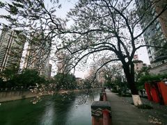 -红星桥(地铁站)