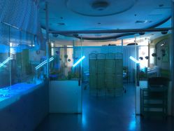 -杰爱月子护理中心