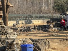 -秦皇岛野生动物园
