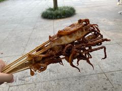 -石家庄市动物园