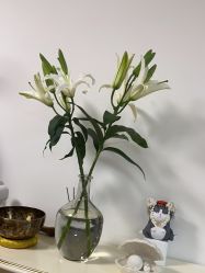 -美肤盾祛痘·问题肌头疗管理中心