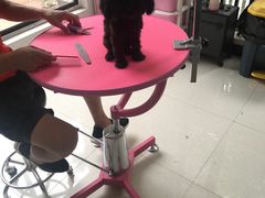 -翊宠yipet猫狗购宠庄园犬舍•猫舍