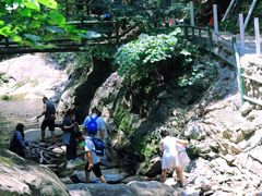 -少华山国家森林公园