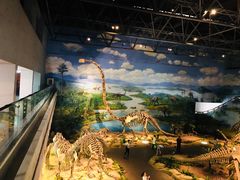 -自贡恐龙博物馆