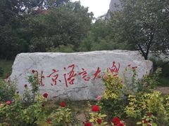 -语言大学-清真食堂