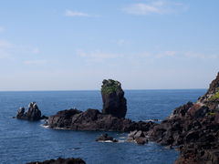 -涉地可支