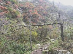 -终南山国家森林公园