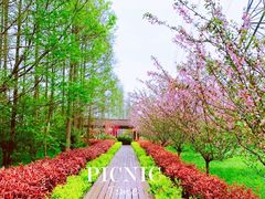 -昆山城市生态森林公园