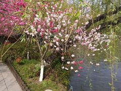 -扬州市茱萸湾风景区