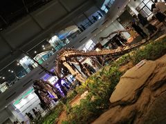 -自贡恐龙博物馆