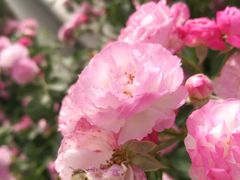 -运河城商业摩尔(太白楼路店)