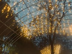 -三江森林温泉度假区