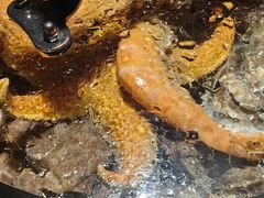 -锅老头海鲜铁锅炖