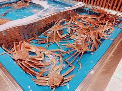-蟹将军·松叶蟹和牛日料放题自助(K11店)