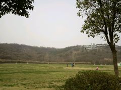 -羊山湖公园