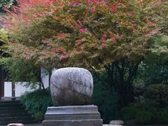 -北山街历史文化街区