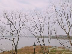 -金银湖国家城市湿地公园