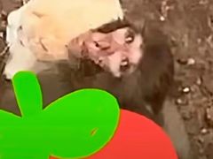 -昆明动物园
