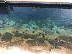 -麦哲伦丝绸度假村