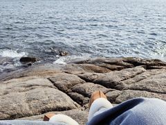 -海合安青岛极地海洋公园