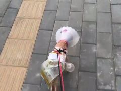 -全心全意动物诊疗中心医院(北苑店)