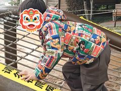 -宁波儿童公园(鄞州区)