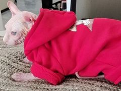 -德元·美联众合24小时动物医院(总院)