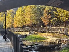 -白水寺森林公园