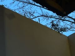 -几荷·恰似故人来(秀水广场店)