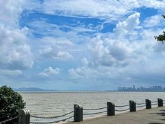 -深圳湾公园(南山区)