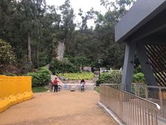 -野狸岛