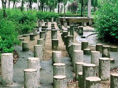 -春花秋色城市公园