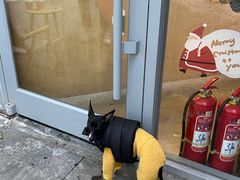 -文立新麻辣烫(合生汇21街区店)