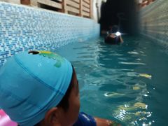 -南宫温泉水世界