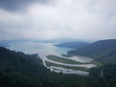 -明潭茶老爸