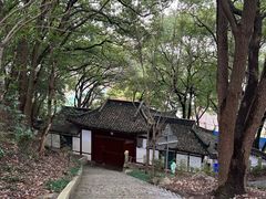 -上海佘山国家森林公园天马山园