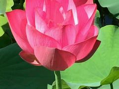 -陶辛水韵