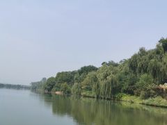 -东方巨龟苑景区