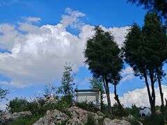 -长虫山生态公园风景林